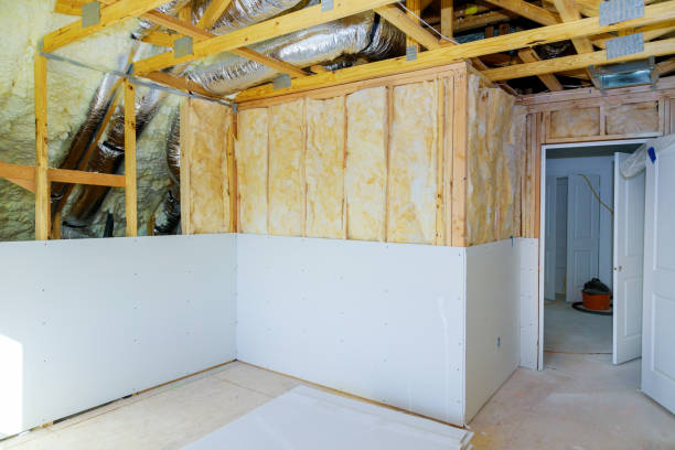 Best Professional Insulation Contractor  in Brighton, AL