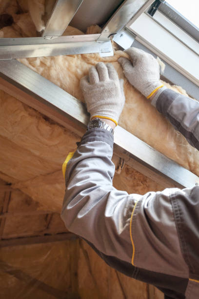 Best Blown-in Insulation  in Brighton, AL