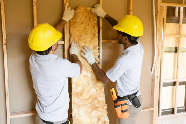 Best Insulation Repair Services  in Brighton, AL