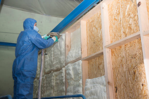 Best Insulation Replacement Services  in Brighton, AL