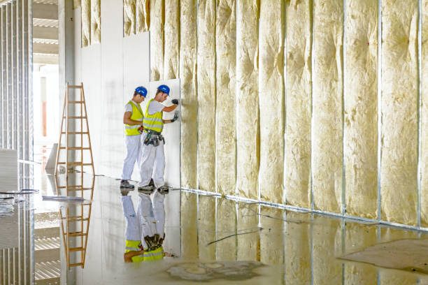 Best Attic Insulation Installation  in Brighton, AL